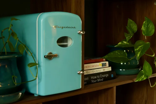 Pisgah private room bookshelf and mini fridge at The Lazy Tiger