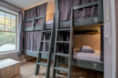 Shared dorm room at The Lazy Tiger